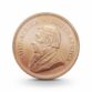 123920-1-2-oz-krugerrand-goldmuenze-suedafrika-2020-2 (1)