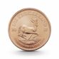 123940-1-10-oz-krugerrand-goldmuenze-suedafrika-2018-1 (1)