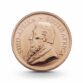 123940-1-10-oz-krugerrand-goldmuenze-suedafrika-2018-2 (1)