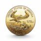 124020-1-2-oz-american-eagle-goldmuenze-25-dollars-usa-2013-1-wahl-freisteller-1