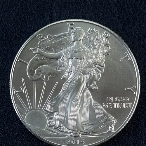 1 oz American Eagle Silver Coin