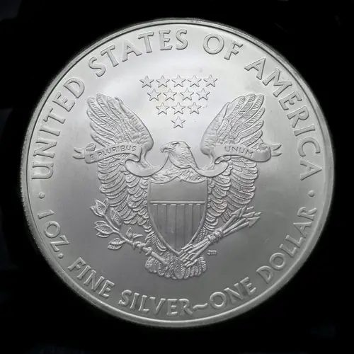 1 oz American Eagle Silver Coin