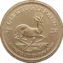 Krugerrand Złota Moneta
