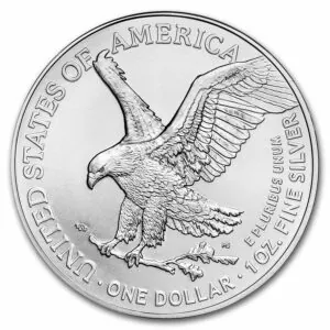 1 oz American Eagle Silver Coin