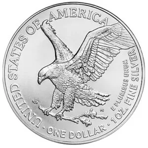 1 oz  American Eagle Silver Coin