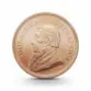 123920-1-2-oz-krugerrand-goldmuenze-suedafrika-2020-2 (1)